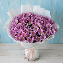 Букет цветов из:  Хризантемы в Уторгош
