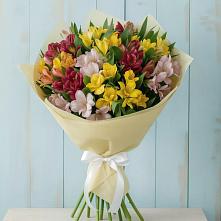Букет цветов из:  Альстромерии в Уторгош